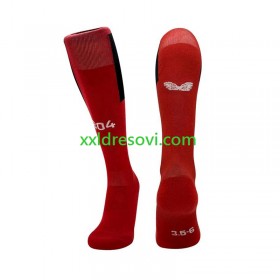 Bayer 04 Leverkusen Domaći Sportske Čarape 2024-2025